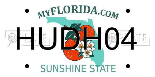 HUDH04 Florida License Plate
