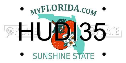 HUDI35 Florida License Plate