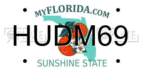 HUDM69 Florida License Plate