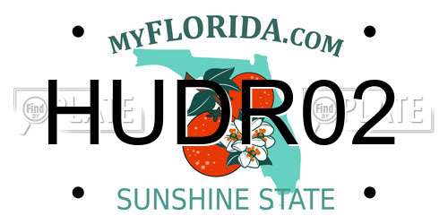 HUDR02 Florida License Plate