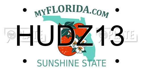 HUDZ13 Florida License Plate