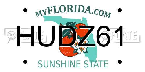 HUDZ61 Florida License Plate