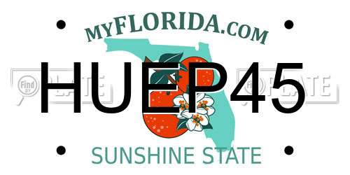 HUEP45 Florida License Plate