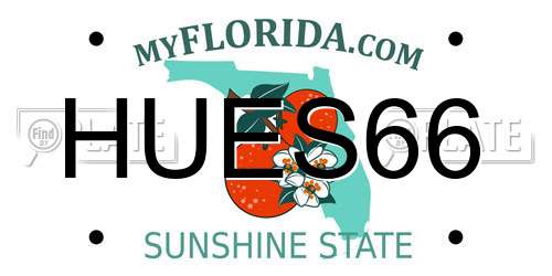 HUES66 Florida License Plate