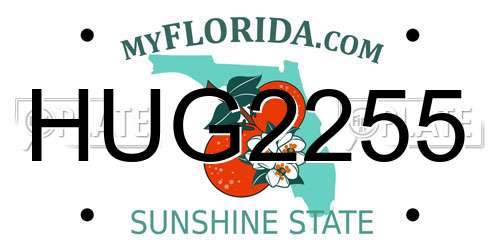 HUG2255 Florida License Plate