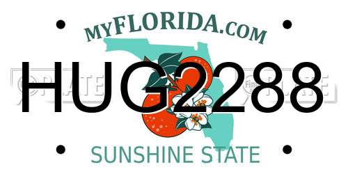 HUG2288 Florida License Plate