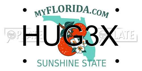 HUG3X Florida License Plate