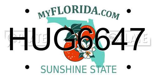HUG6647 Florida License Plate
