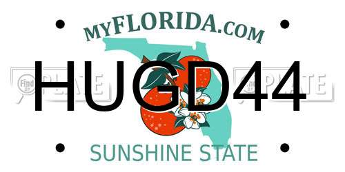 HUGD44 Florida License Plate