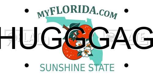 HUGGGAG Florida License Plate