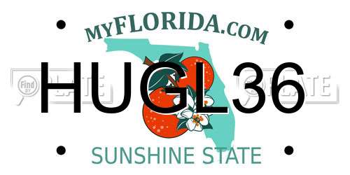 HUGL36 Florida License Plate