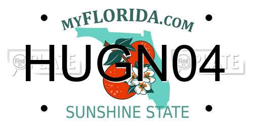 HUGN04 Florida License Plate