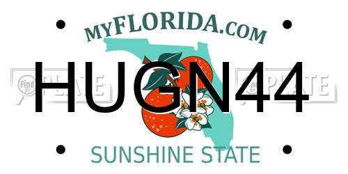 HUGN44 Florida License Plate