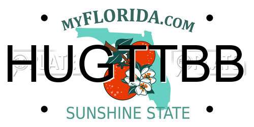 HUGTTBB Florida License Plate