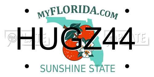 HUGZ44 Florida License Plate
