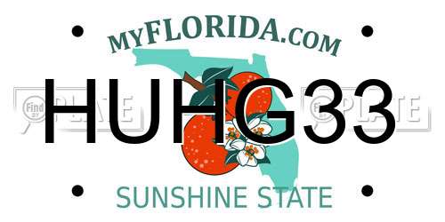 HUHG33 Florida License Plate