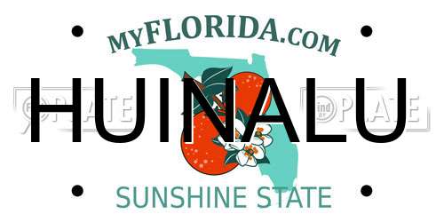 HUINALU Florida License Plate
