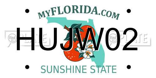 HUJW02 Florida License Plate