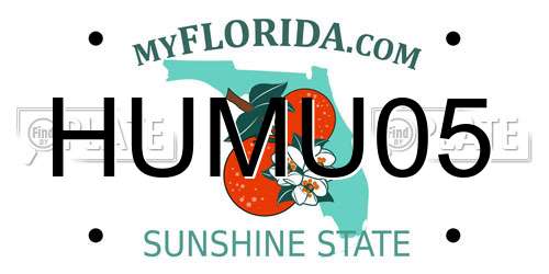 HUMU05 Florida License Plate