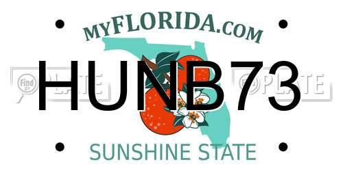 HUNB73 Florida License Plate