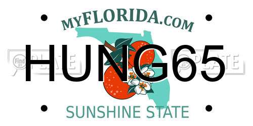 HUNG65 Florida License Plate
