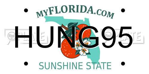 HUNG95 Florida License Plate