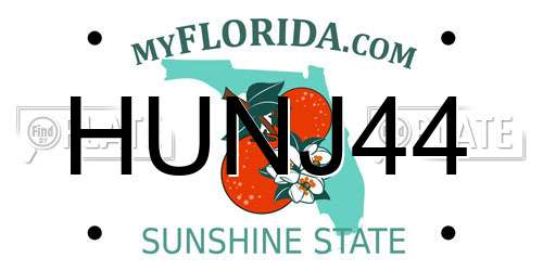 HUNJ44 Florida License Plate