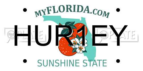 HUR1EY Florida License Plate