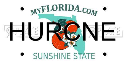 HURCNE Florida License Plate