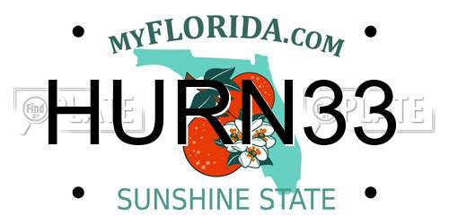 HURN33 Florida License Plate
