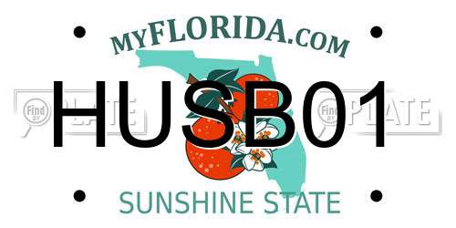 HUSB01 Florida License Plate