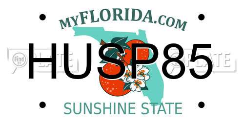 HUSP85 Florida License Plate