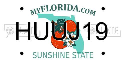 HUUJ19 Florida License Plate