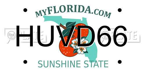 HUVD66 Florida License Plate