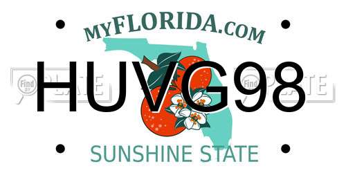 HUVG98 Florida License Plate