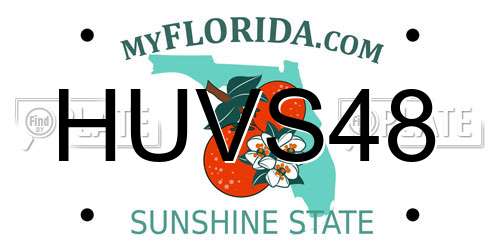 HUVS48 Florida License Plate
