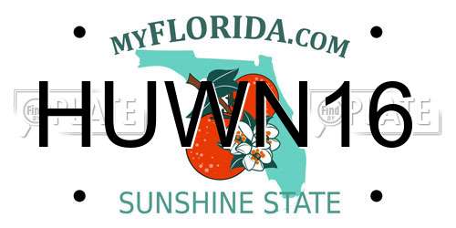 HUWN16 Florida License Plate