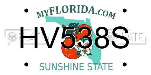 HV538S Florida License Plate
