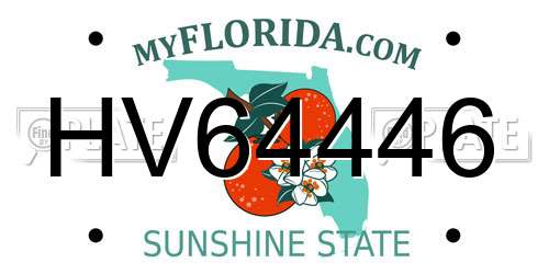 HV64446 Florida License Plate