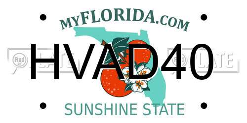 HVAD40 Florida License Plate