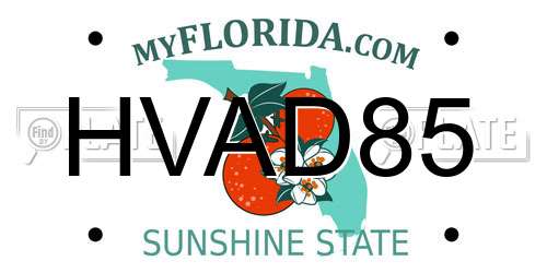 HVAD85 Florida License Plate