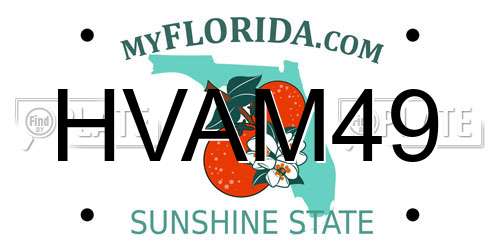HVAM49 Florida License Plate