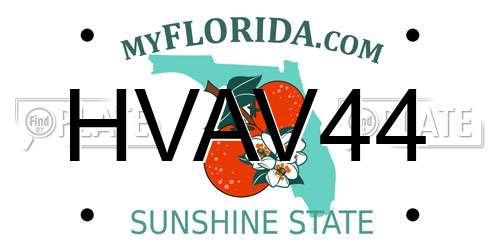 HVAV44 Florida License Plate