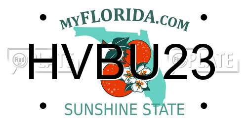 HVBU23 Florida License Plate