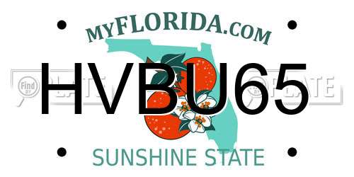 HVBU65 Florida License Plate