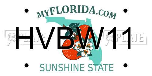 HVBW11 Florida License Plate