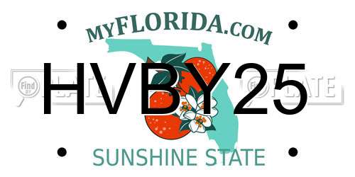 HVBY25 Florida License Plate
