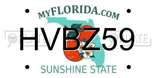 HVBZ59 Florida License Plate