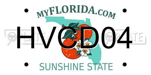 HVCD04 Florida License Plate
