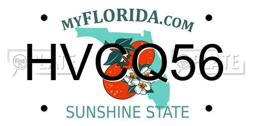 HVCQ56 Florida License Plate